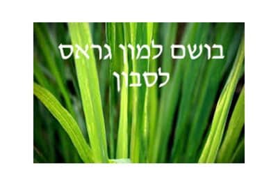 בושם לימון גראס לנרות 30 מל